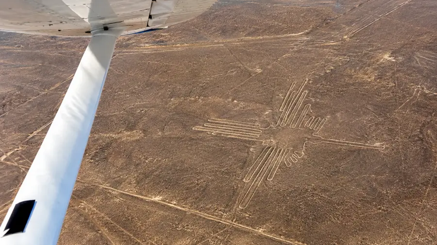 Volo sulle Linee di Nazca da Ica e Huacachina: Guida Aeroportuale